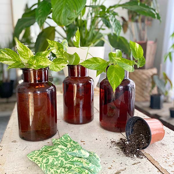 Amber Brown Decorative Glass Vase