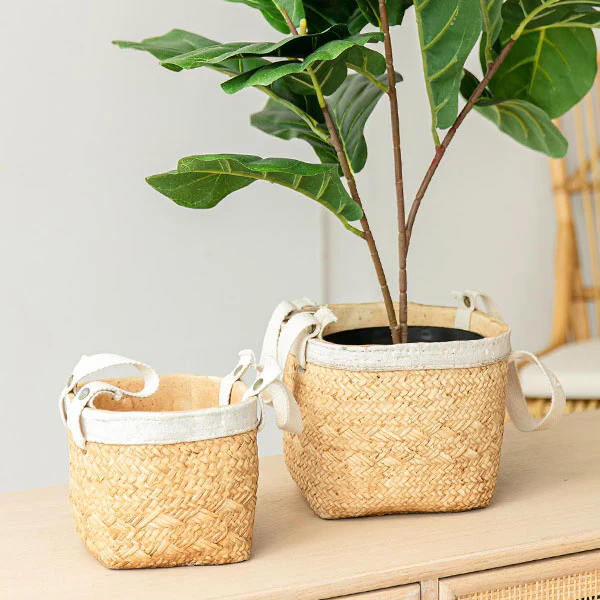 Cement Basket Planters, Set of 2