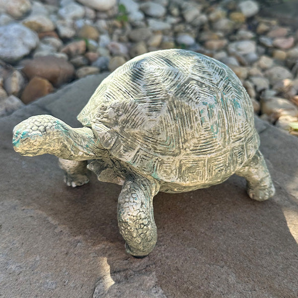Curious Turtle Statues, Set of 2