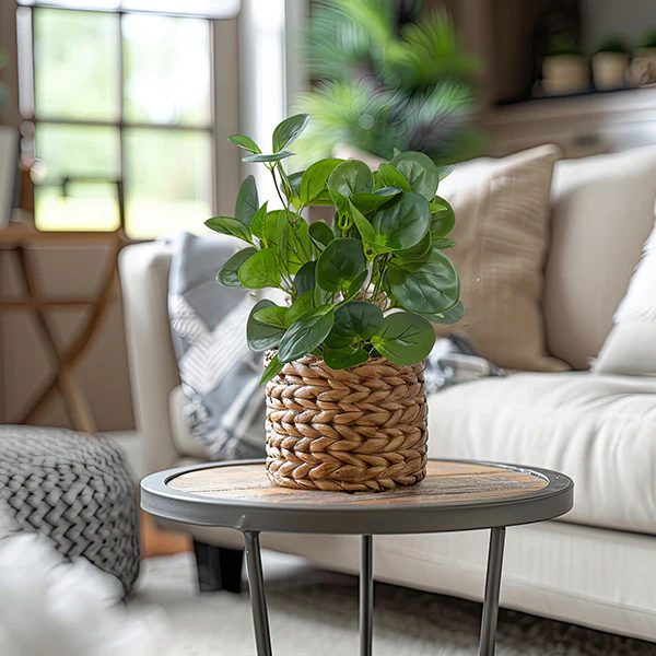 Lifelike Potted Peperomia Plant