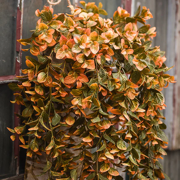 Lifelike Mint Hanging Bush