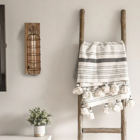 Caged LED Wall Sconce