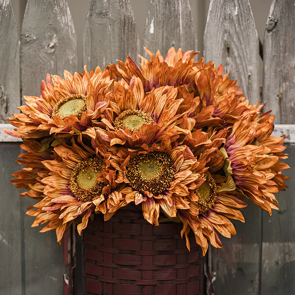 Red and Brown Sunflower Stems, Set of 4