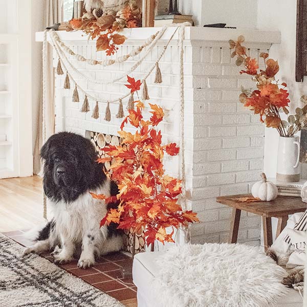 Pre-Lit Lifelike Outdoor Maple Tree, Pick Your Size