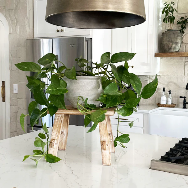 Multi-Use Distressed Wood Riser Stool