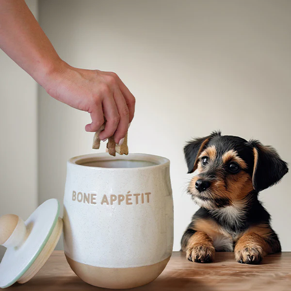 Ceramic Pet Bowls Collection, Choose Your Style