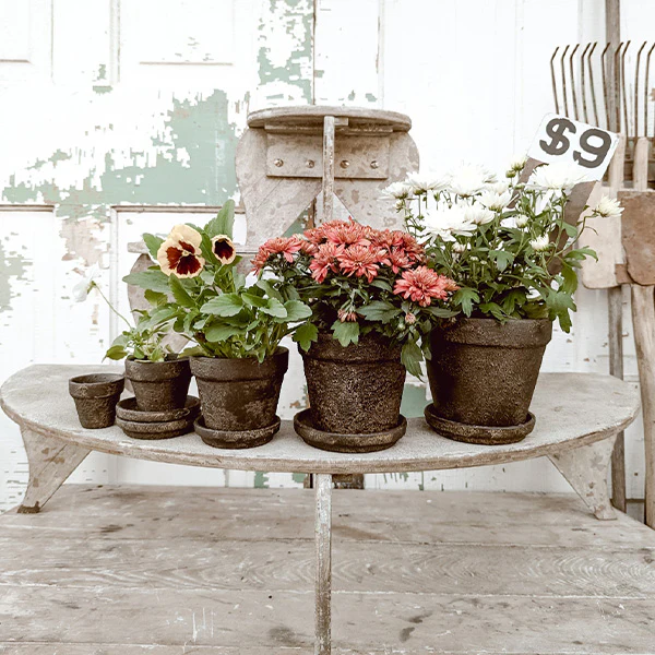 Dark Gray Terracotta Indoor/Outdoor Planters, Set of 5