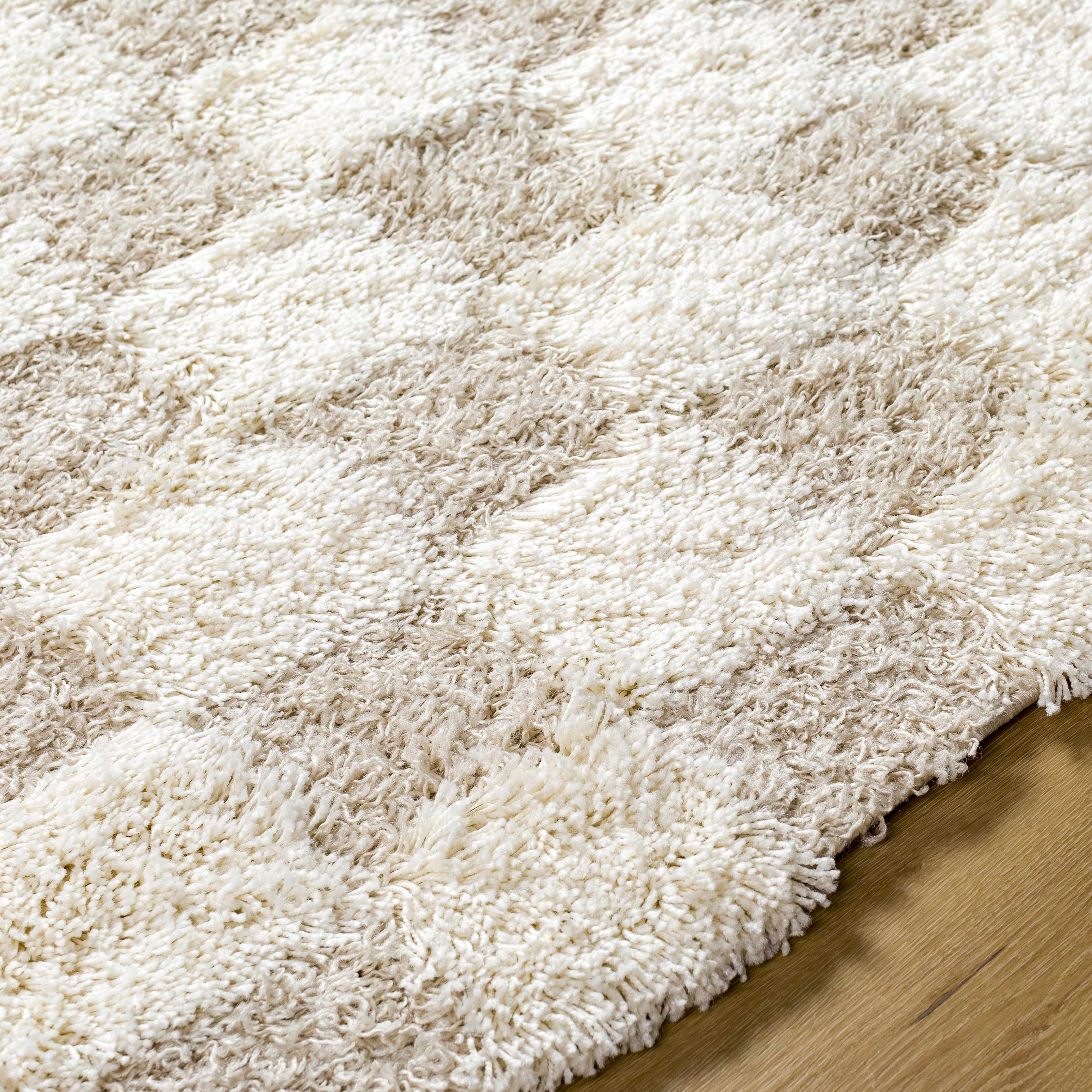 Neutral Checkered Area Rug