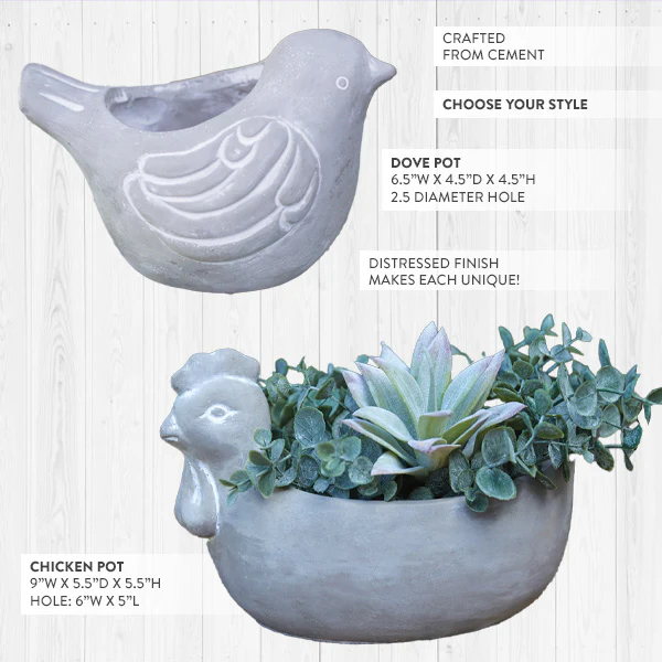 Farmhouse Bird Cement Planter, Choose Your Style