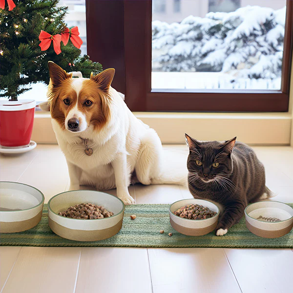 Ceramic Pet Bowls Collection, Choose Your Style