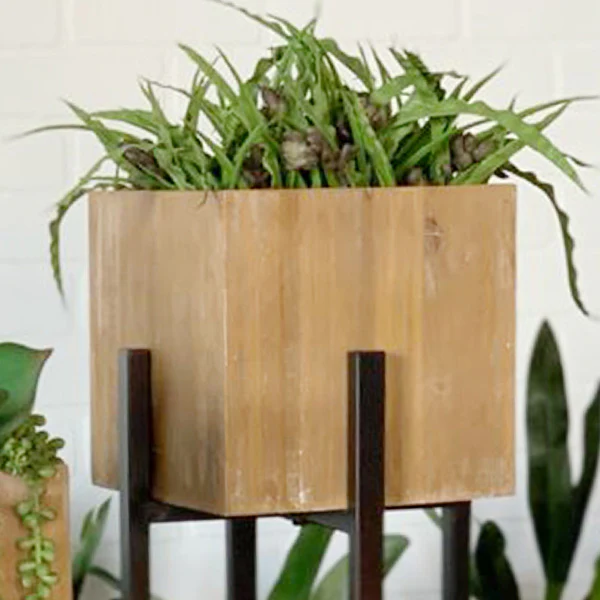 Wooden Cube Planters on Stands, Set of 2