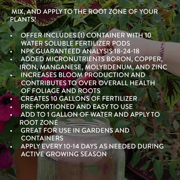 Plant with Purpose Rose Booster Water Soluable Fertilizer - 10 piece