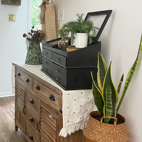 Large Wooden Apothecary Chest