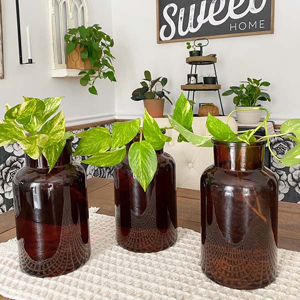 Amber Brown Decorative Glass Vase