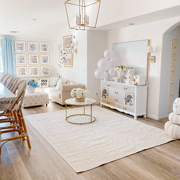 Light Gray Indoor/Outdoor Rug