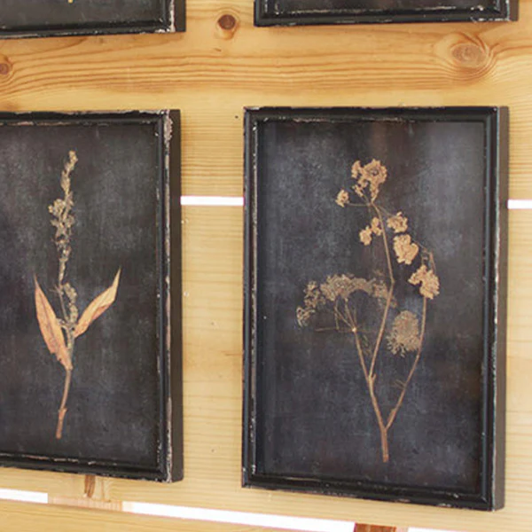 Glass Covered Botanical Prints, Set of 6