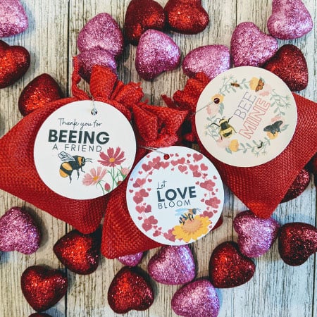 Wildflower Seed Ball Gift Bags, Set of 3 | Made in USA