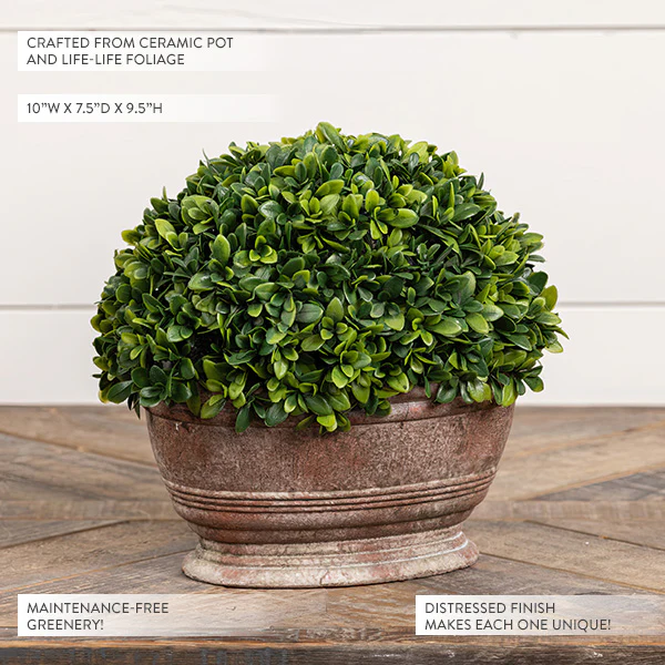 Lifelike Faux Plant in Oblong Ceramic Pot