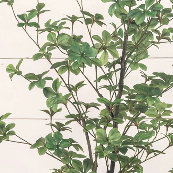 5 Feet Rhodoleia Faux Tree in Black Pot