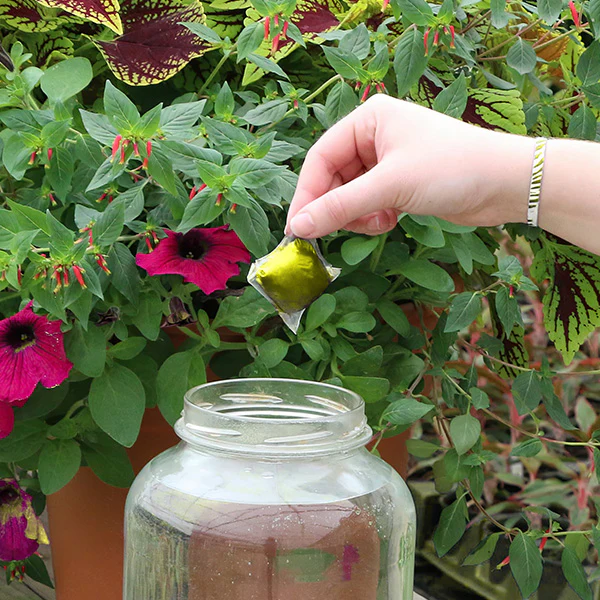 Plant with Purpose Flower Booster Water Soluable Fertilizer - 10 piece