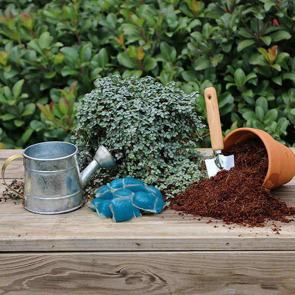 Plant with Purpose Acid Loving Plant Booster Water Soluable Fertilizer - 10 piece