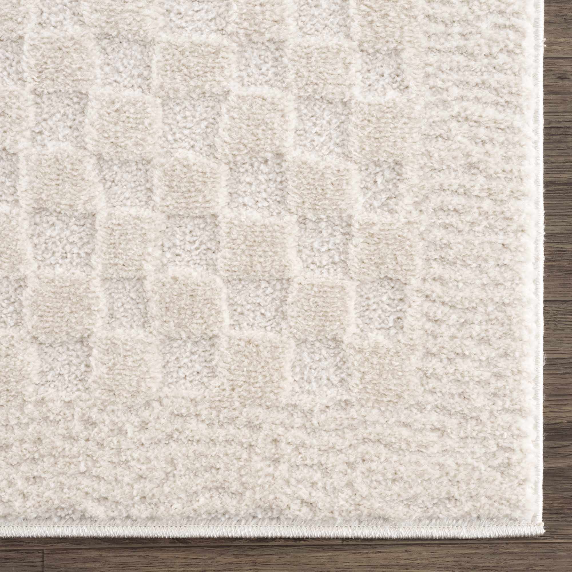 Ivory Area Rug