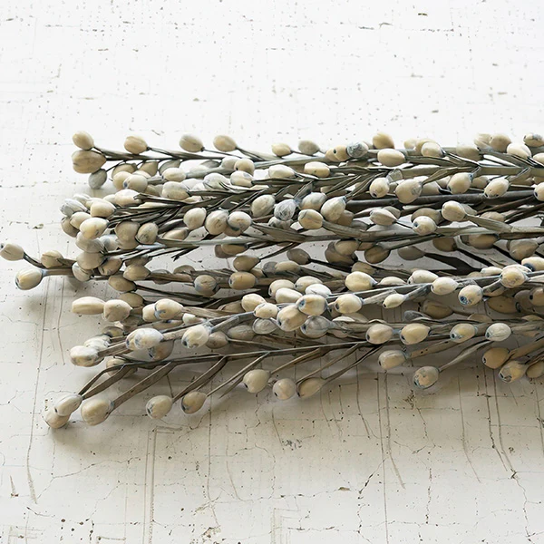 Dried Moti Sticks, Set of 6 Bundles