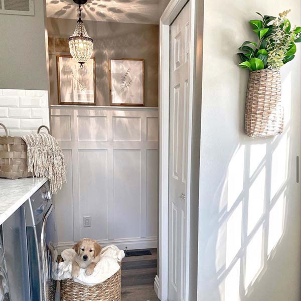 Oblong Hanging Willow Basket, Pick Your Size