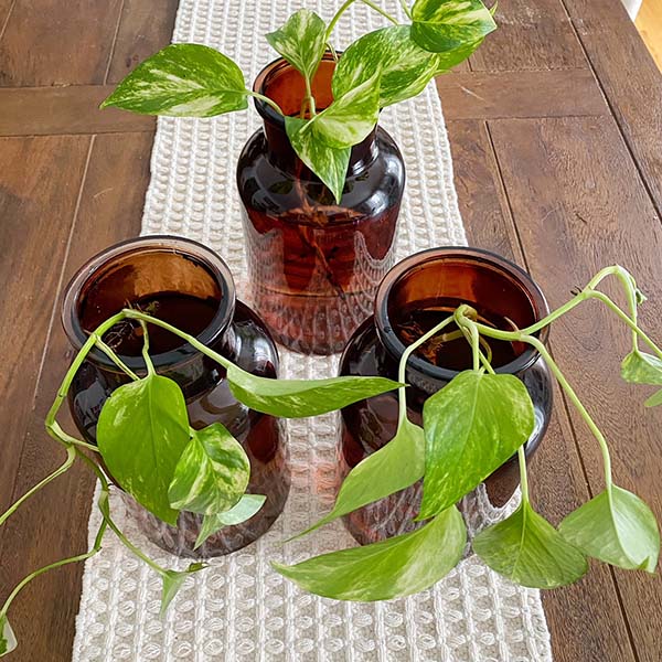 Amber Brown Decorative Glass Vase