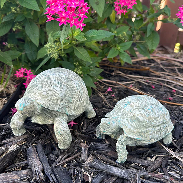 Curious Turtle Statues, Set of 2
