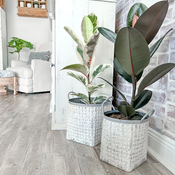 Whitewashed Woven Metal Baskets, Set of 2