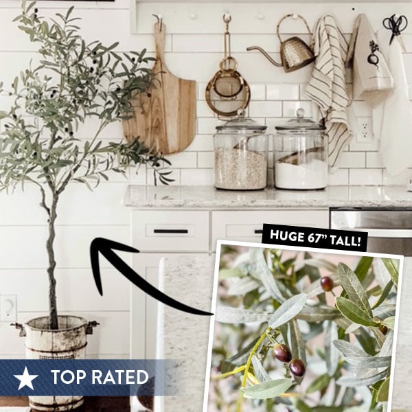 Faux Olive Tree | 67 Inch Premium Lush Potted Olive Tree