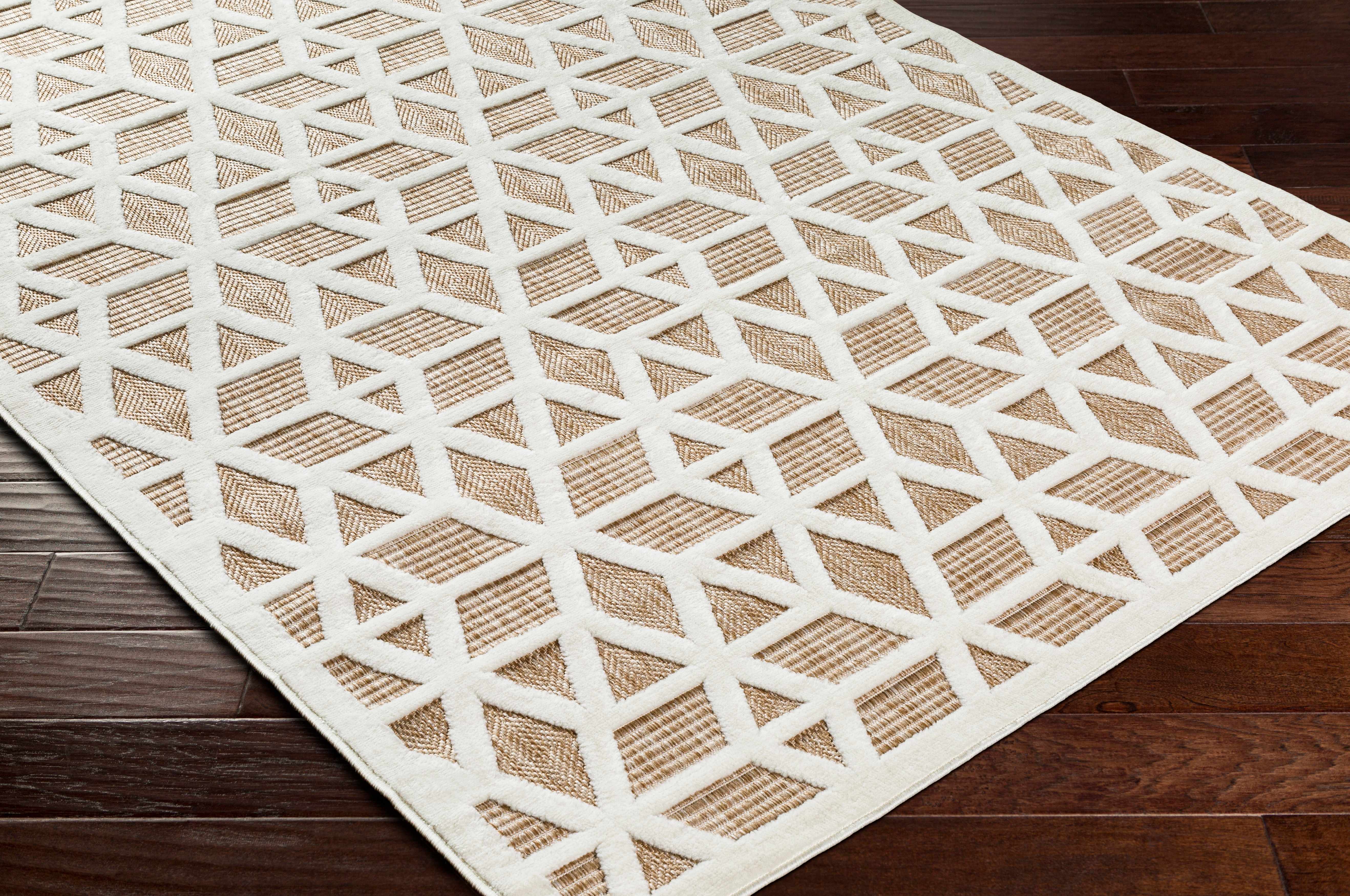Tan Outdoor Rug