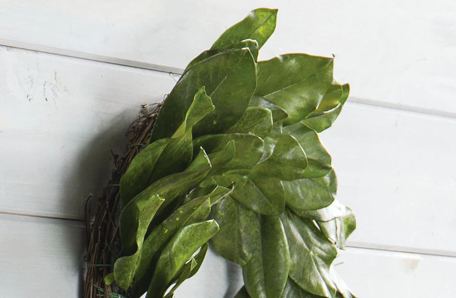 Preserved Magnolia Wreath