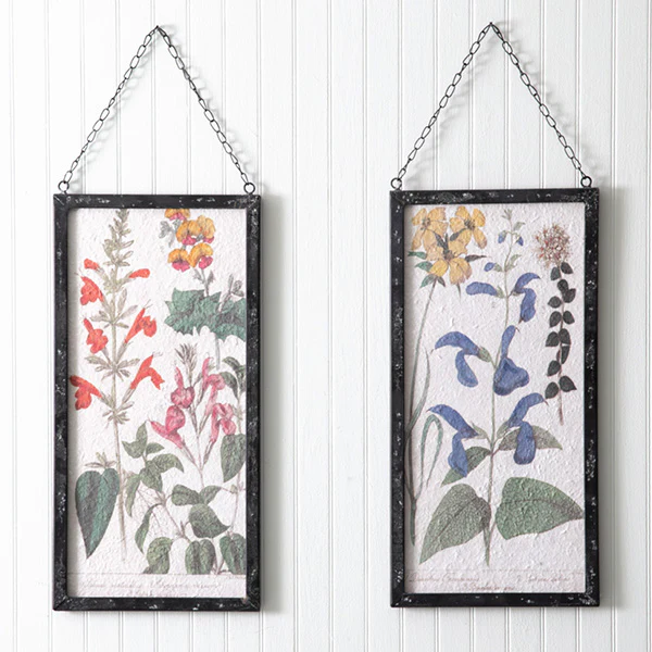 Botanical Perennial Flower Wall Art, Set of 2