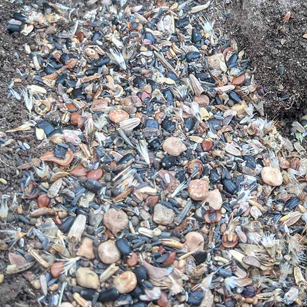 Wildflower Seed Balls in Kraft Pot | Made in USA