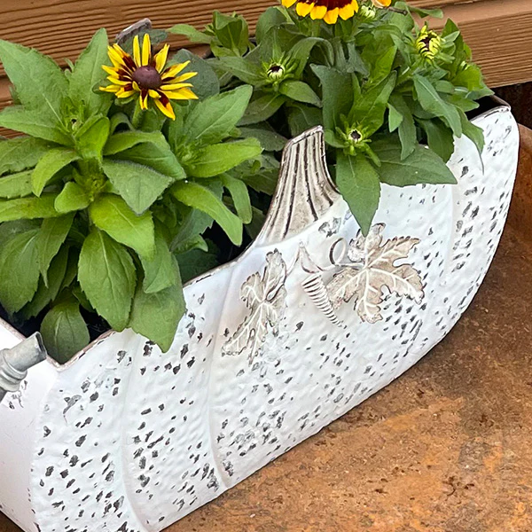 Antiqued Finish Pumpkin Carriage Planters, Set of 2