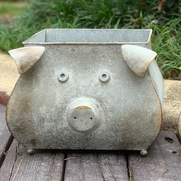 Galvanized Piggy Metal Planters, Set of 2