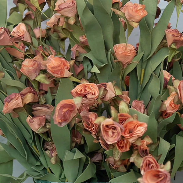 Wildflower Bush, Set of 3 Stems