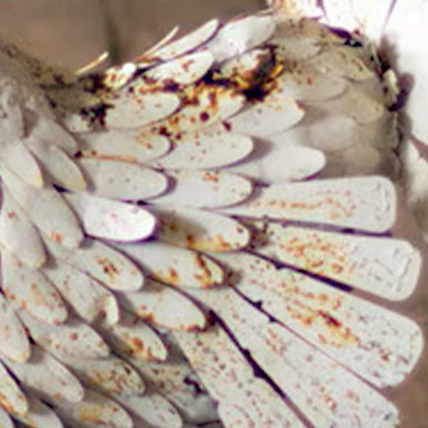 Distressed White Metal Turkeys, Set of Two