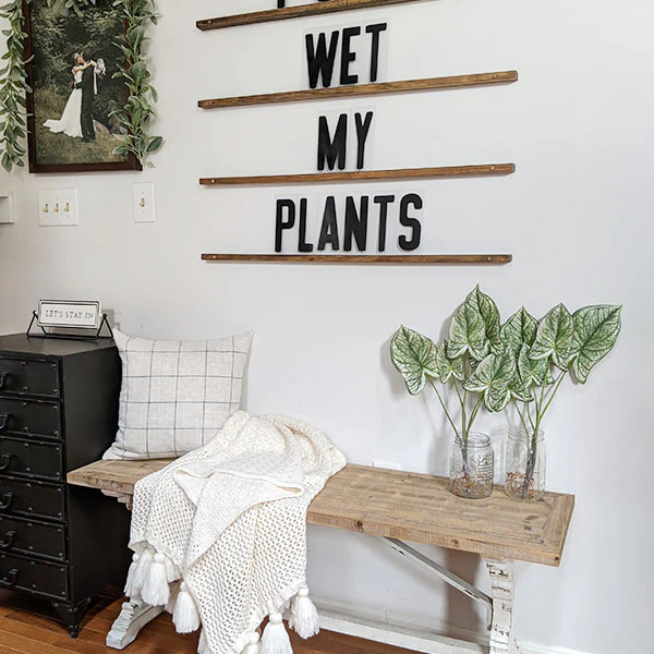 23 Inch Tall Caladium Plant, Set of 2