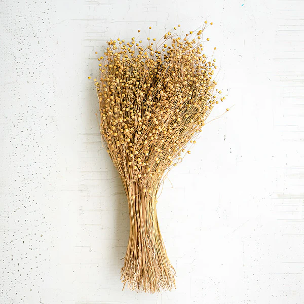 Natural Lino Stems, Set of 24 Bundles