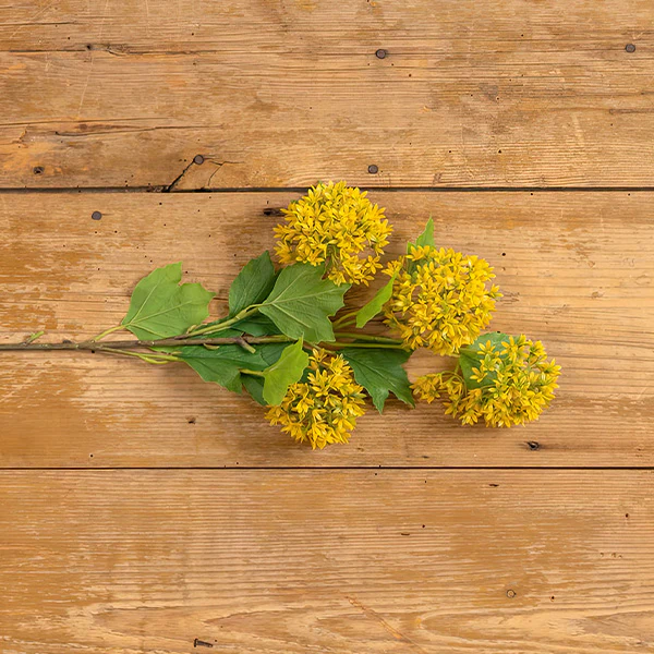 29 Inch Yellow Snowball Spray, Set of 3 Stems