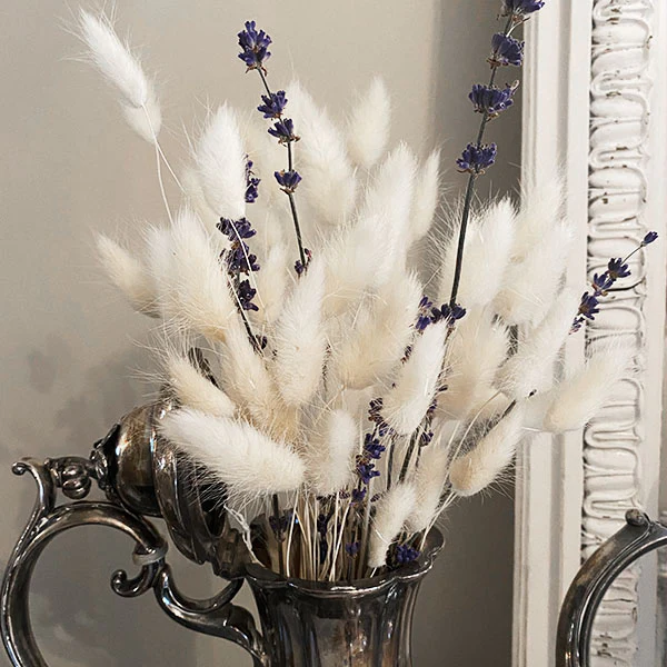 Bunny Tail and Lavender Dried Bouquet