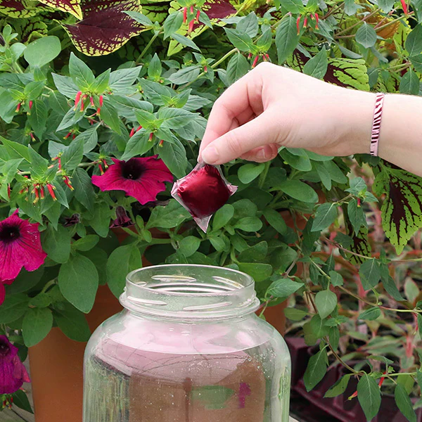 Plant with Purpose Rose Booster Water Soluable Fertilizer - 10 piece