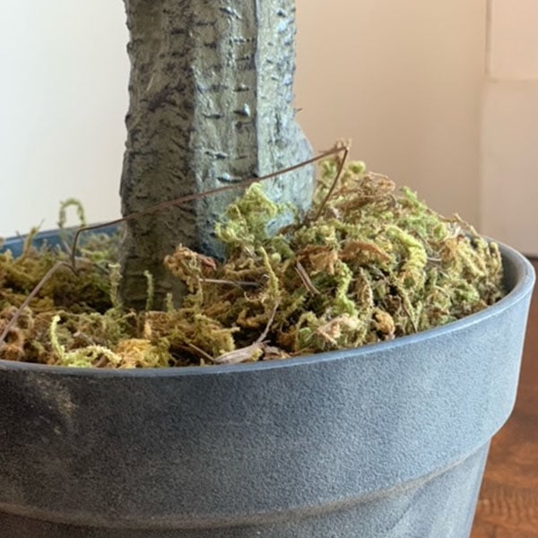 Faux Olive Tree | 67 Inch Premium Lush Potted Olive Tree