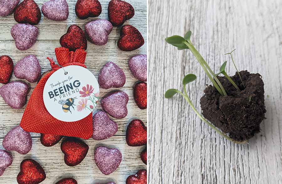 Wildflower Seed Ball Gift Bags, Set of 3 | Made in USA