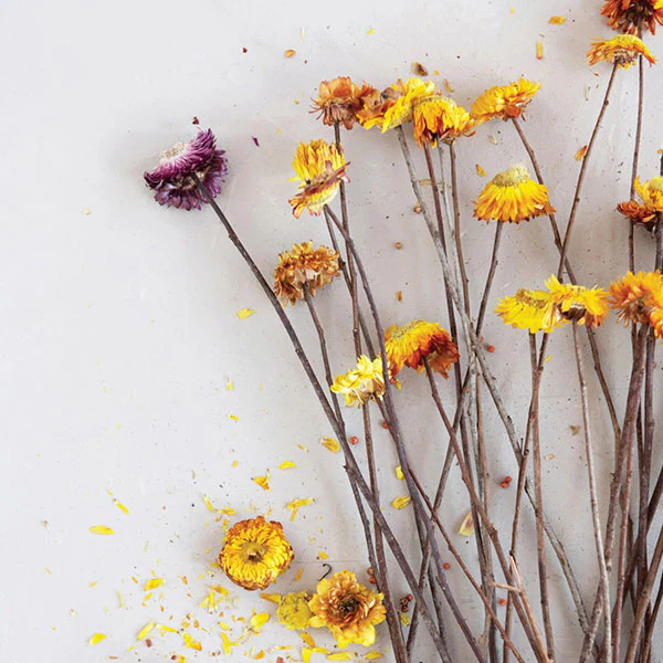 Dried Helication Flower Bouquet