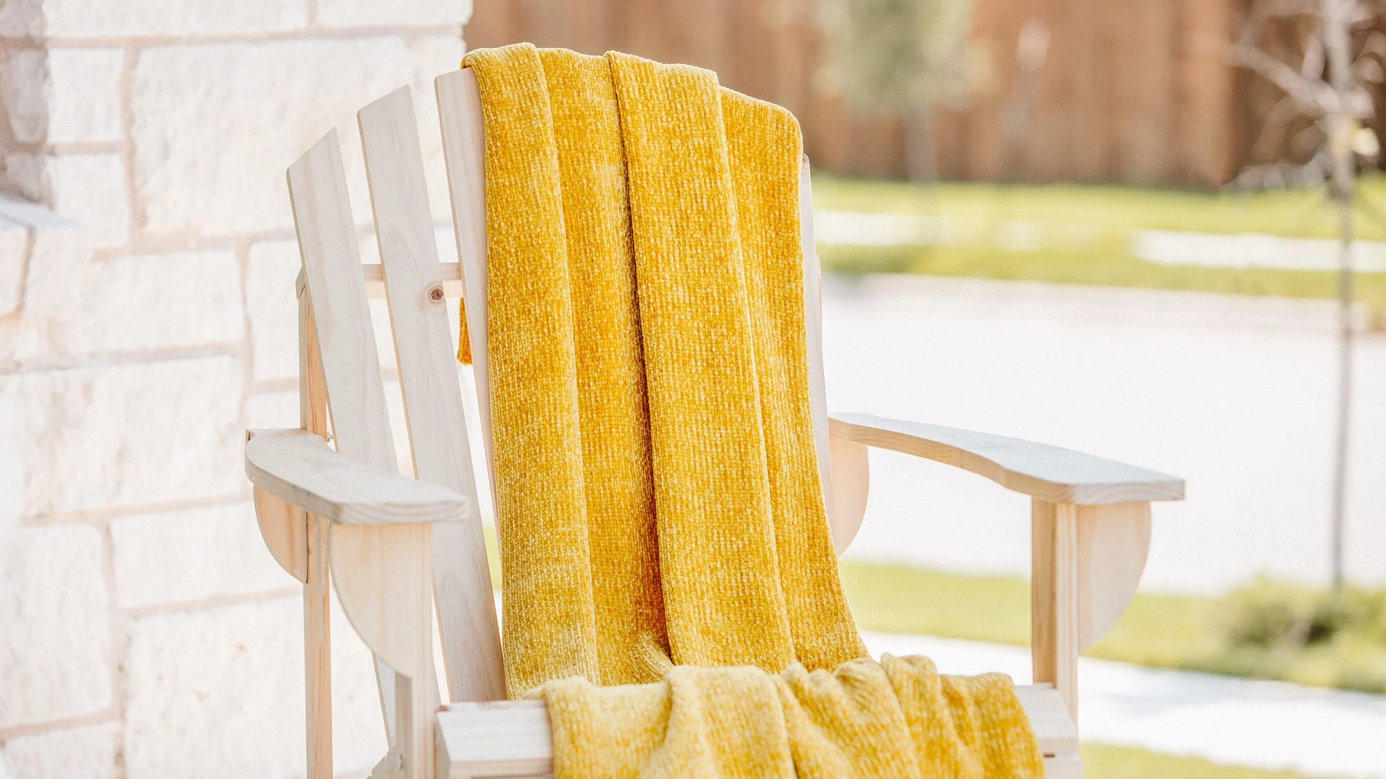 Chenille Luxe Border Throw Blanket