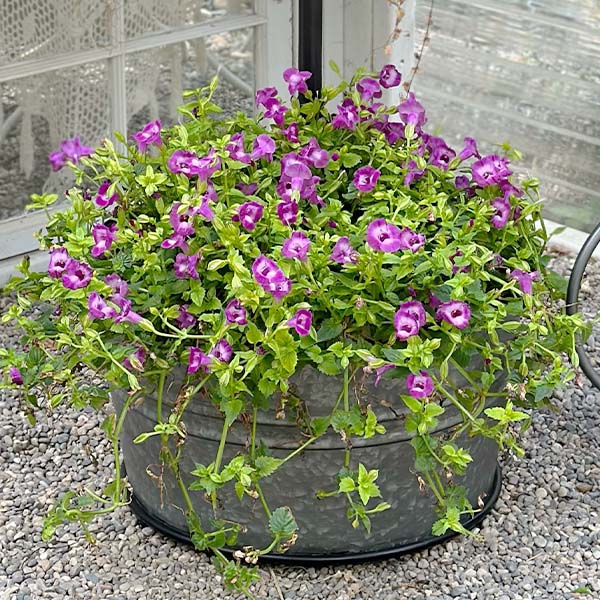 Galvanized Planter Table